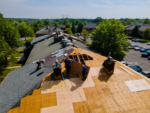 Best Storm Damage Roof Repair  in Mount Vernon, KY