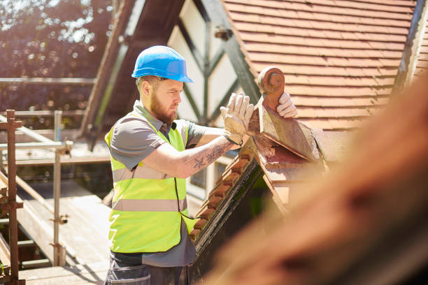 Best Storm Damage Roof Repair  in Mount Vernon, KY